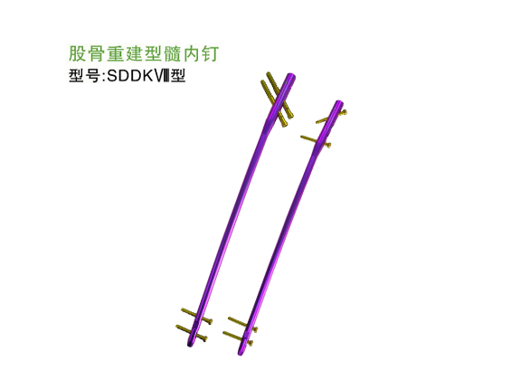 SDDK Ⅷ  股骨重建型髓內釘